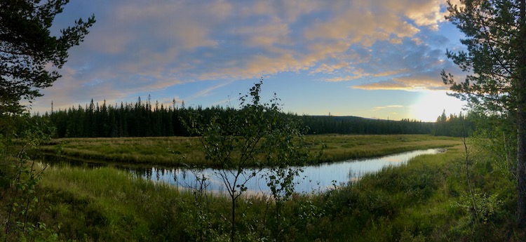 River in front of Fulufjället national park