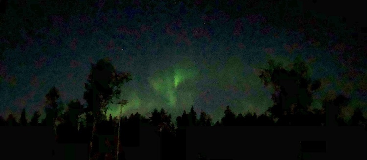 Northern lights captured with my iPhone
