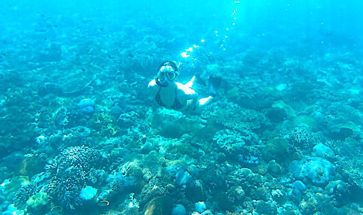 Snorkeling in Crystal bay