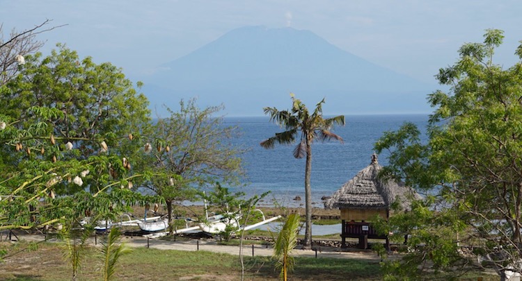 View from the guesthouse on Gunung Agung