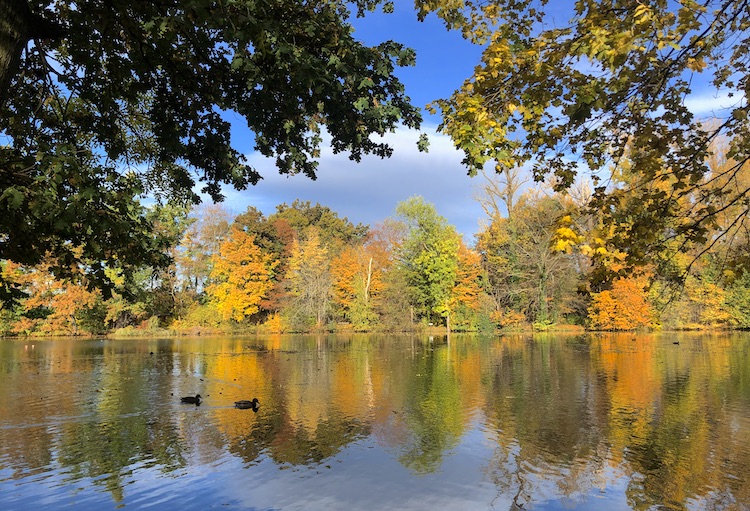 Stadtgarten Lindenau