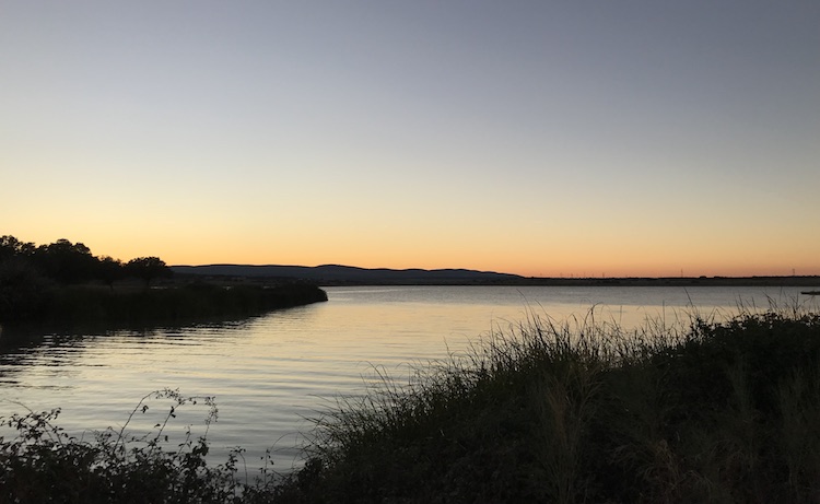 Embalse de Almaraz-Arrocampo