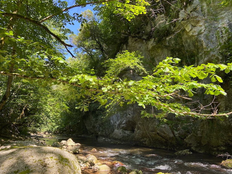 River L'Aude between Gesse and Axat