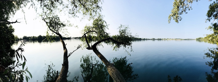 Lake near Bobenheim-Roxheim