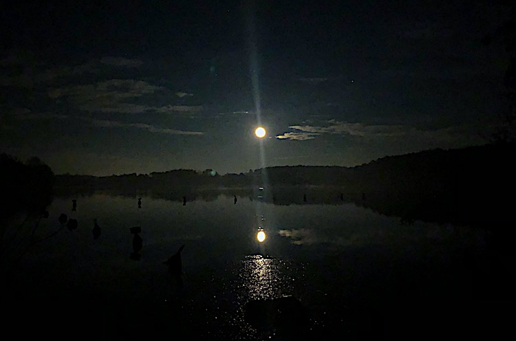 Lake lighted by the moon