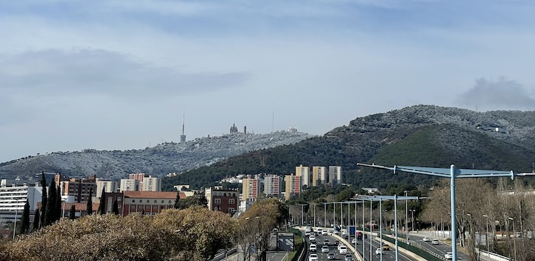 Trees around Barcelona covered with snow