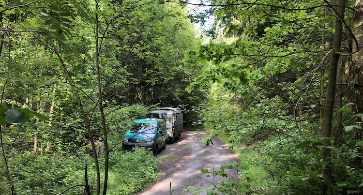 Mercedes 508 and a VW T5 parked in a forest at Saxon Switzerland