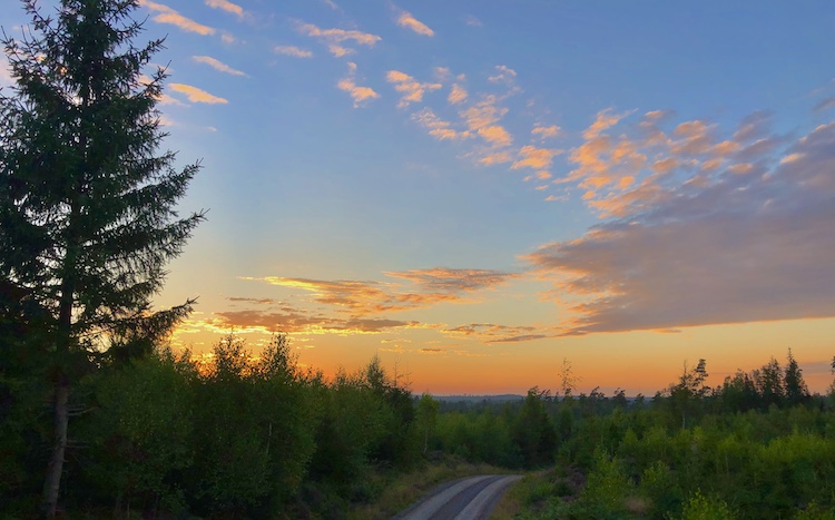 Sunset on a dirt road in the forest