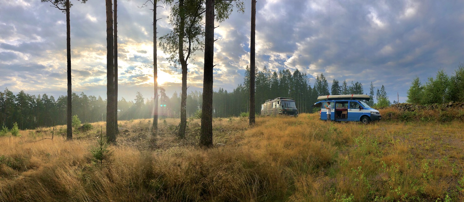 Sun rise on a clearing in the forest