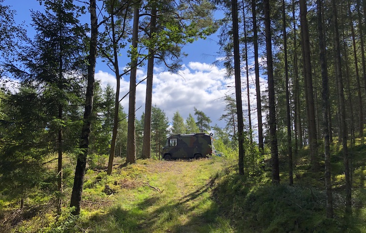 Clearing near Holsjön