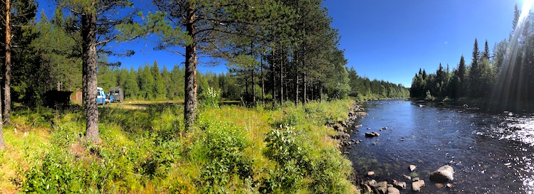 Clearing next to the river near Fulufjället national park