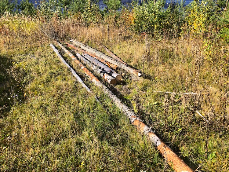 Logs collected from the forest